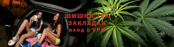 амф Краснослободск