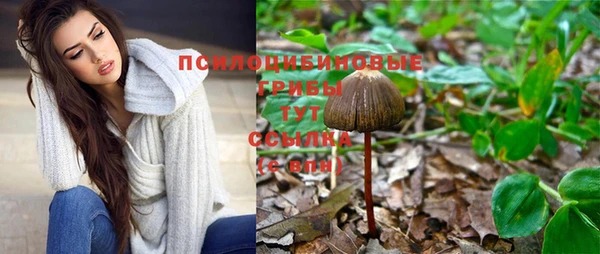 мескалин Красноперекопск