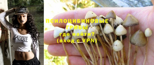 амф Краснослободск